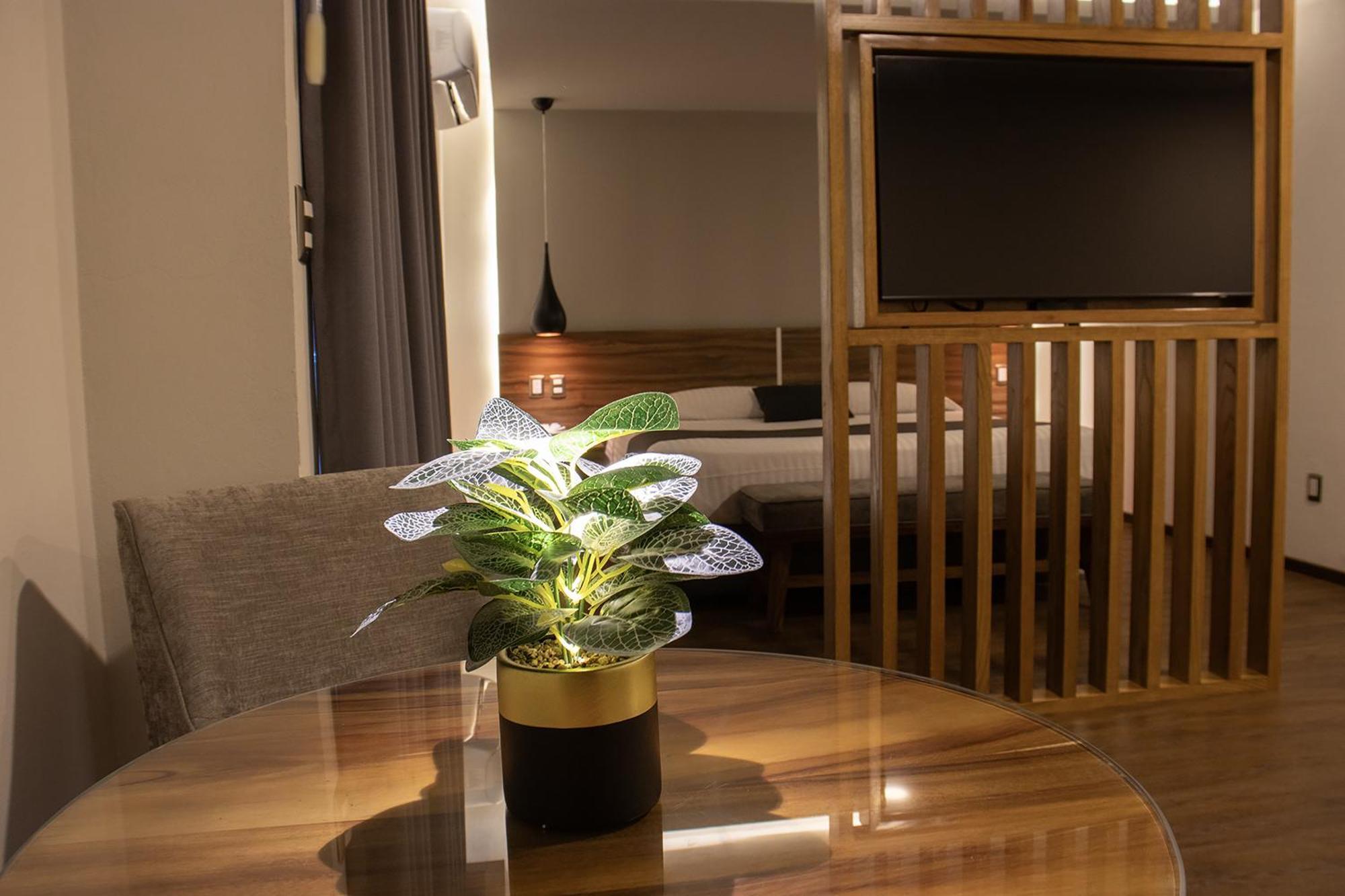 Estanza Hotel & Suites 莫雷利亚 外观 照片